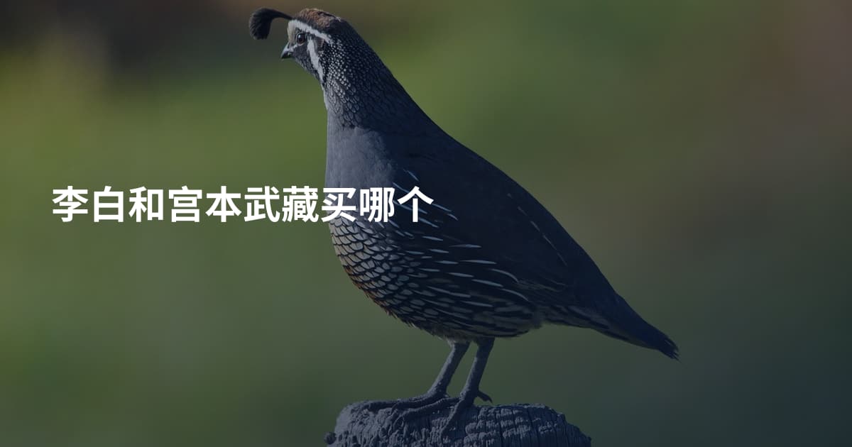 李白和宫本武藏买哪个