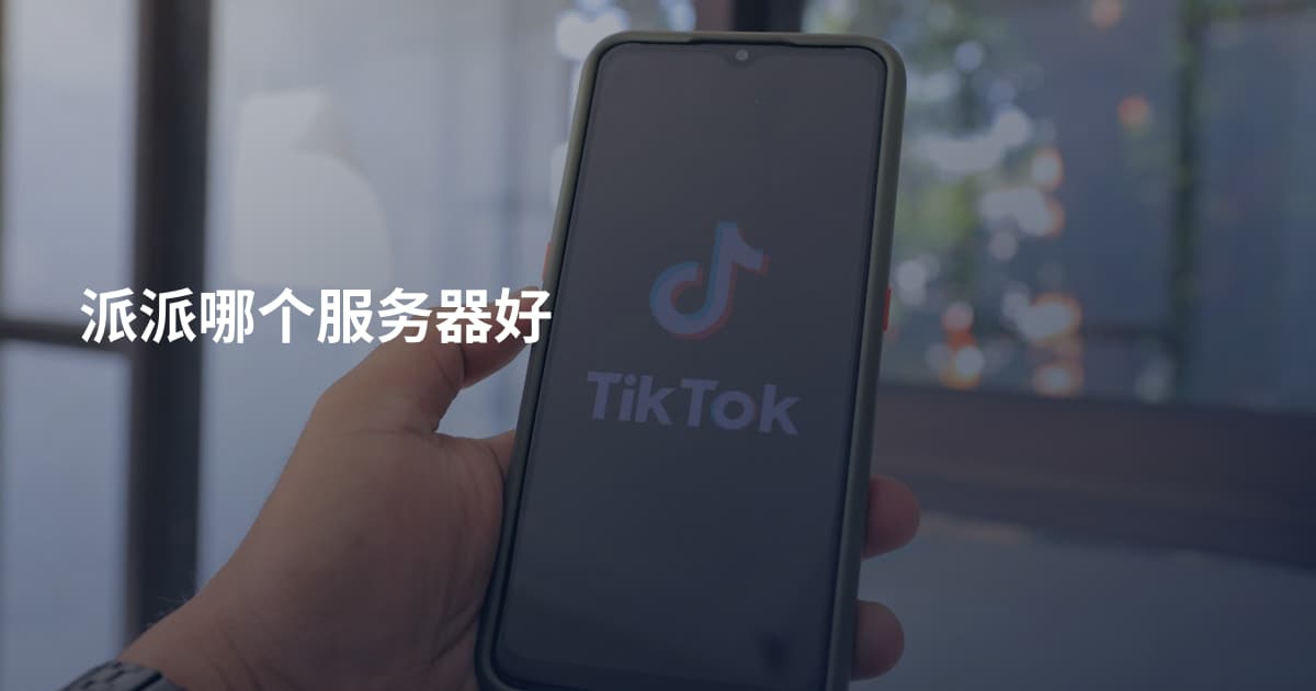派派哪个服务器好