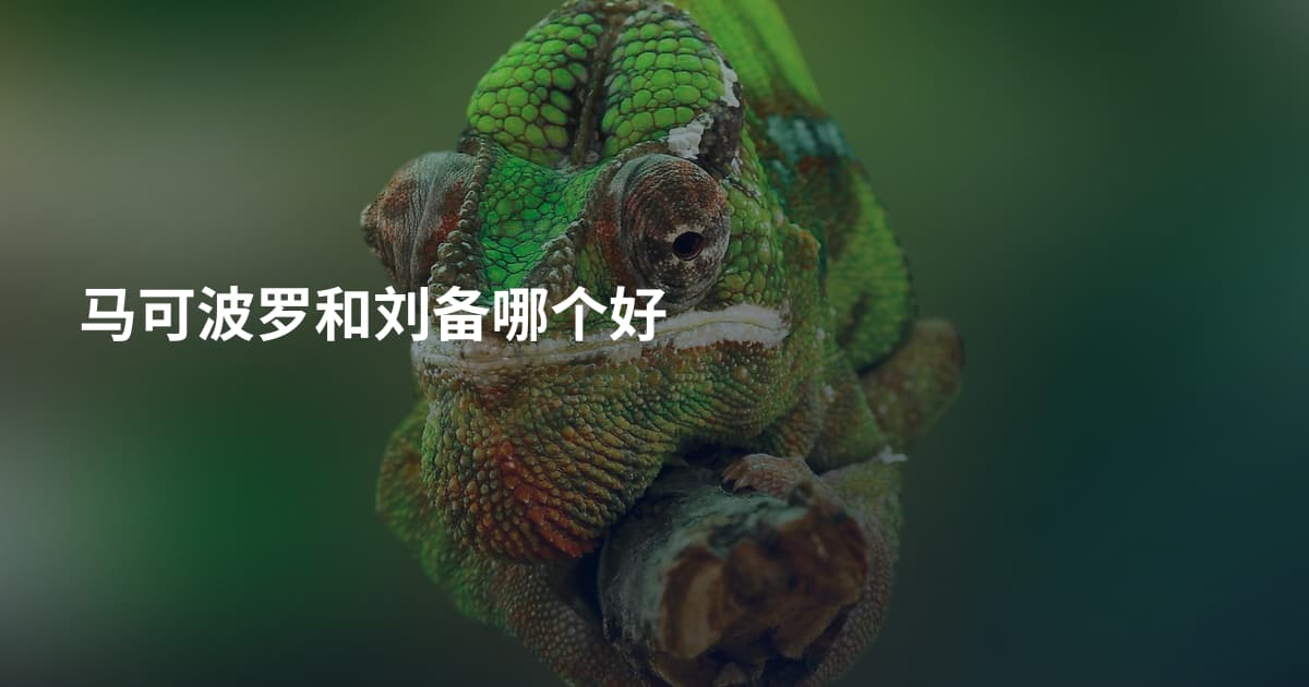马可波罗和刘备哪个好