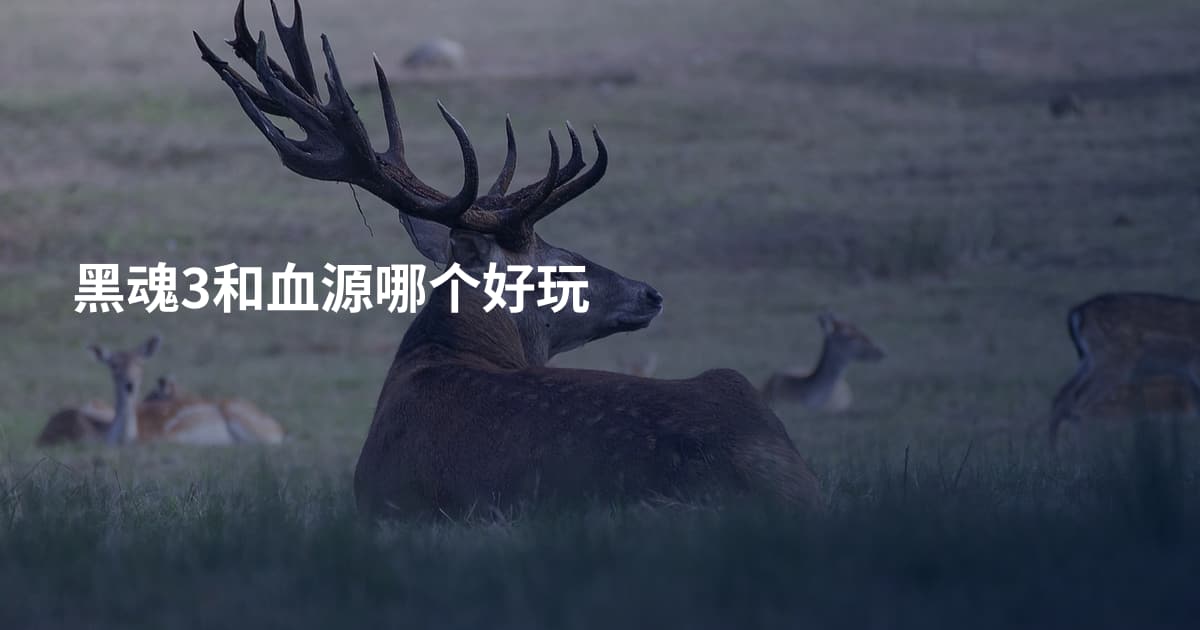 黑魂3和血源哪个好玩