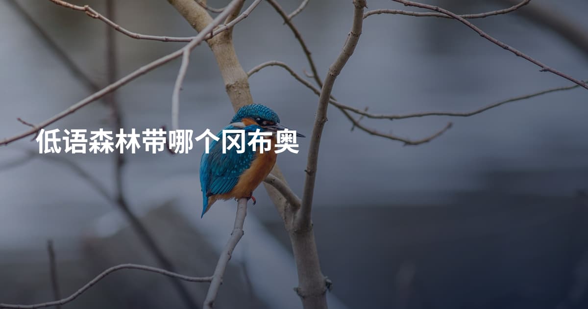 低语森林带哪个冈布奥