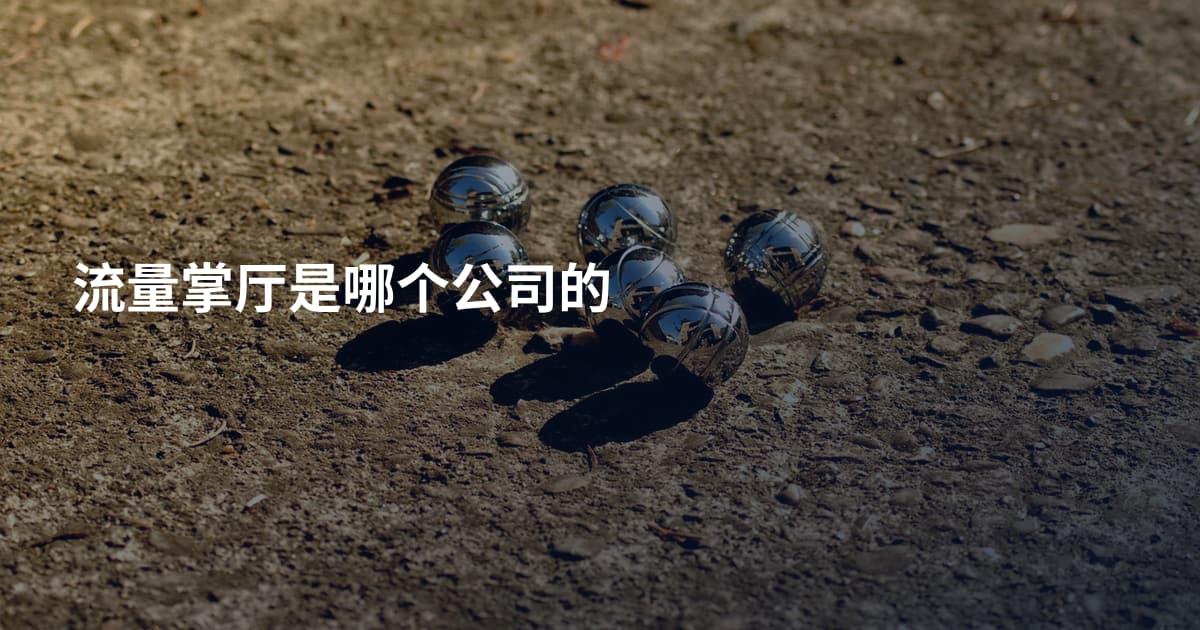 流量掌厅是哪个公司的