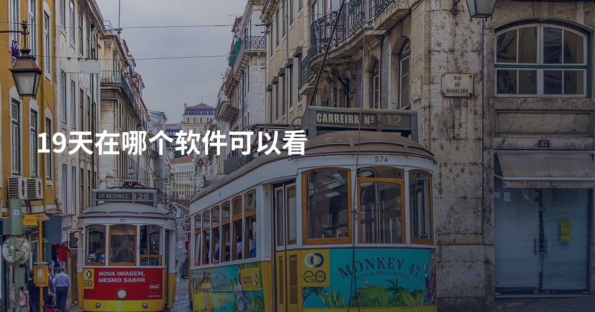 19天在哪个软件可以看