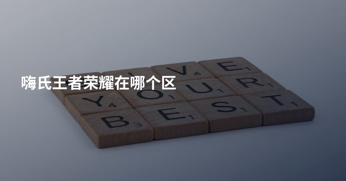 嗨氏王者荣耀在哪个区