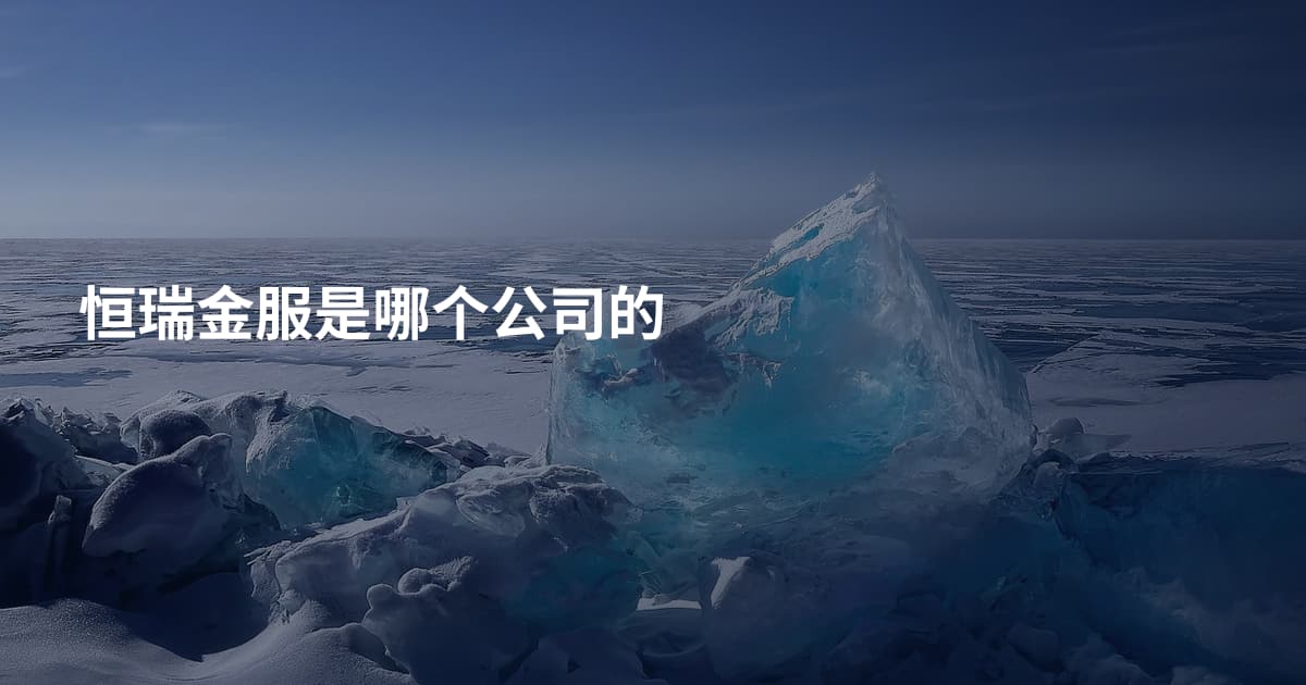 恒瑞金服是哪个公司的
