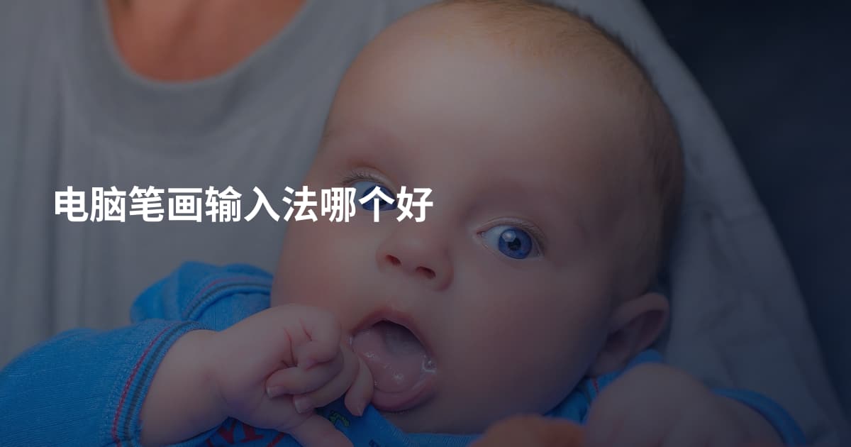 电脑笔画输入法哪个好