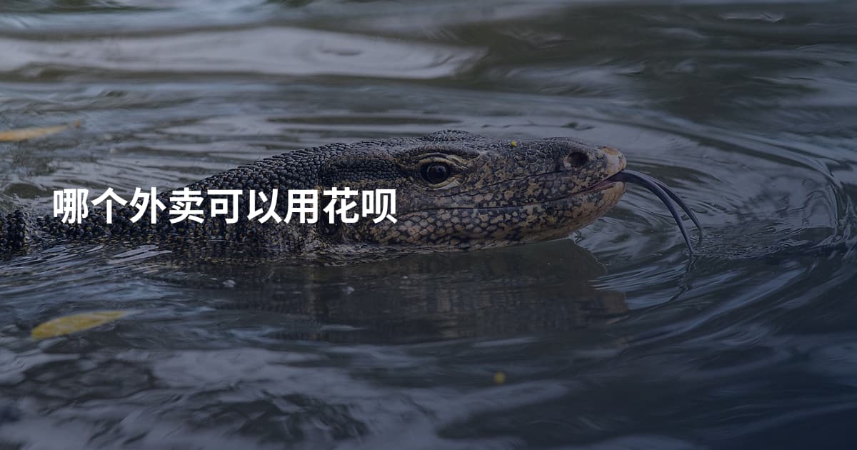 哪个外卖可以用花呗
