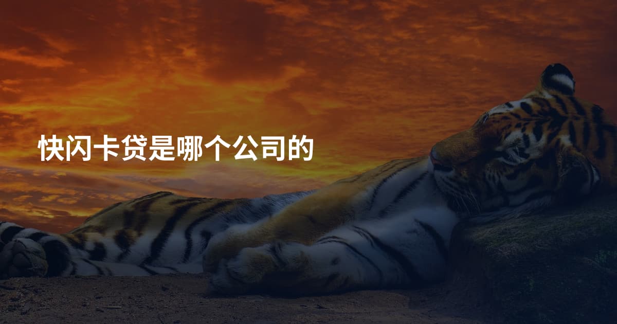 快闪卡贷是哪个公司的