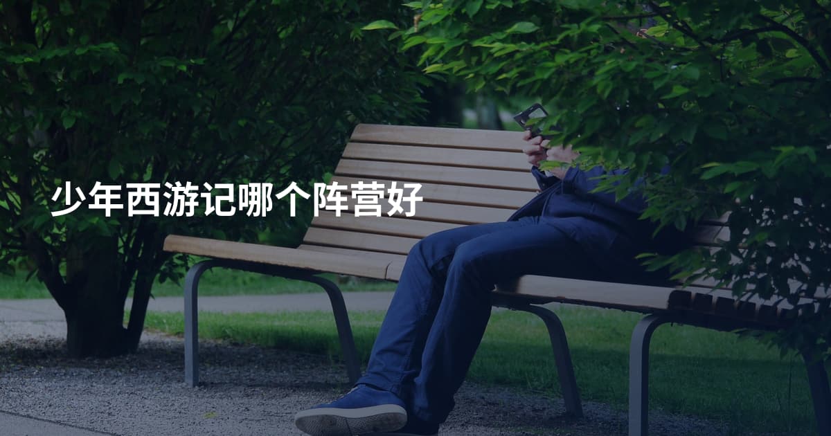 少年西游记哪个阵营好