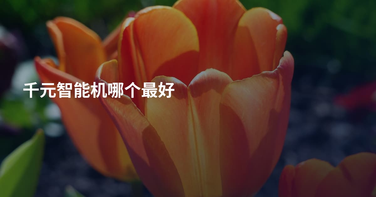 千元智能机哪个最好