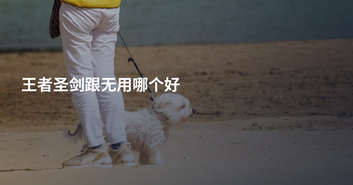 王者圣剑跟无用哪个好