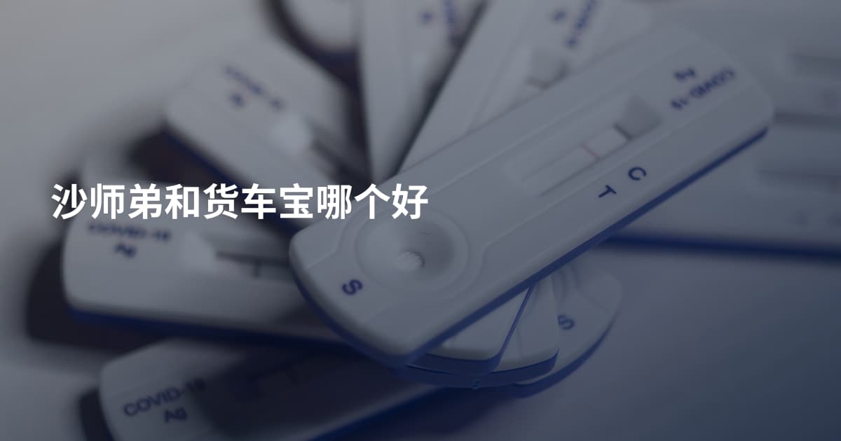 沙师弟和货车宝哪个好