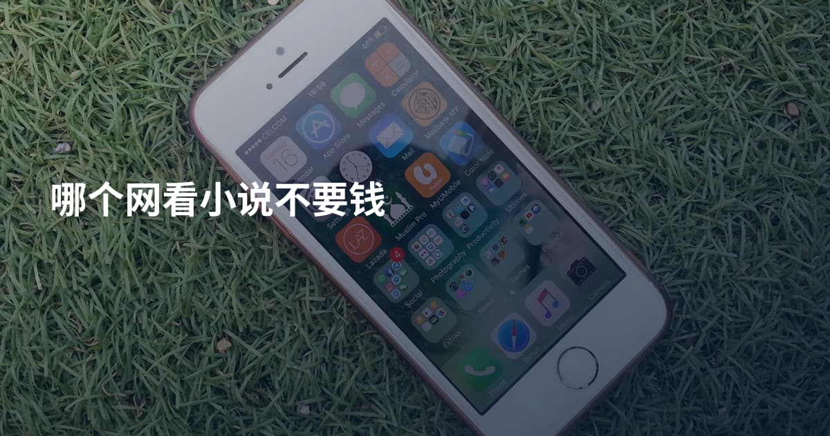 哪个网看小说不要钱