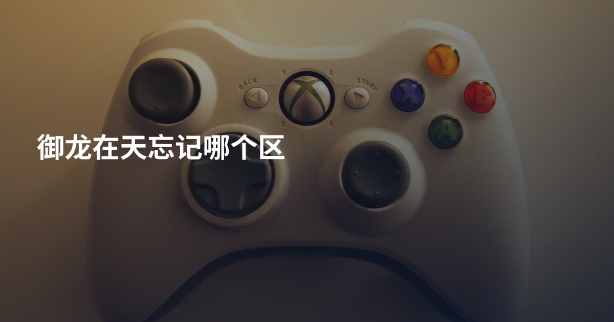 御龙在天忘记哪个区
