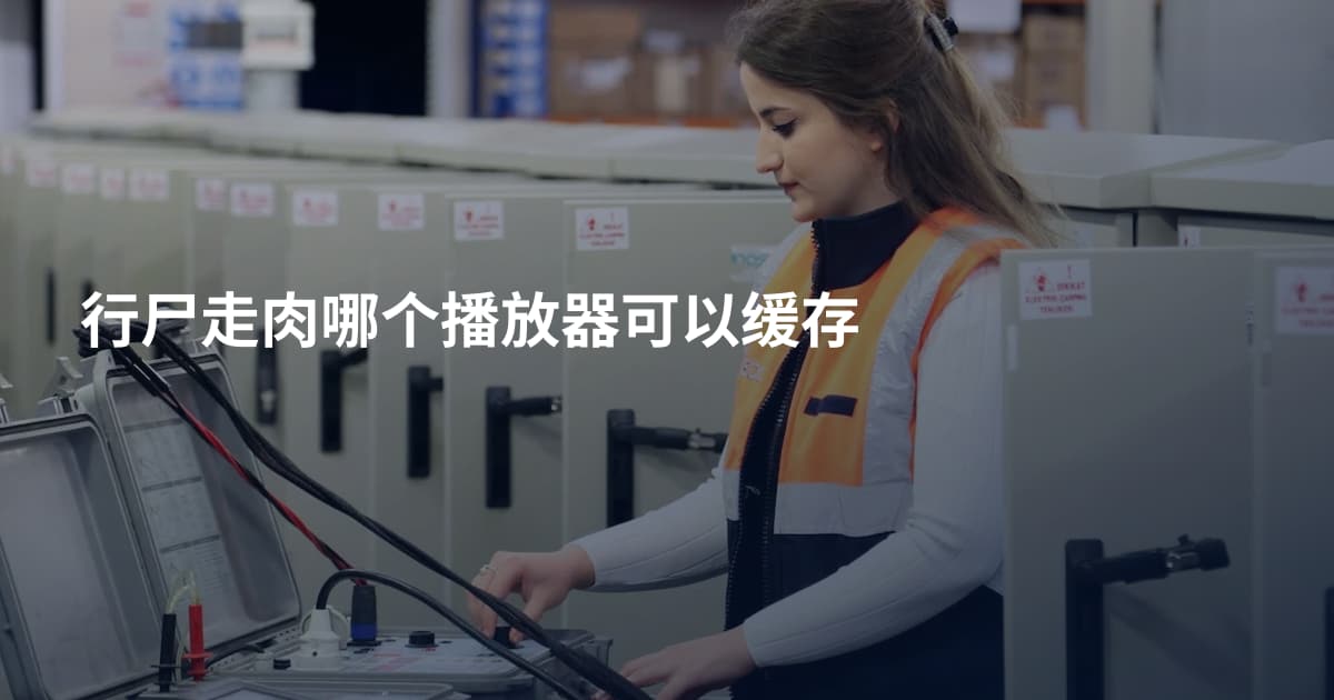 行尸走肉哪个播放器可以缓存