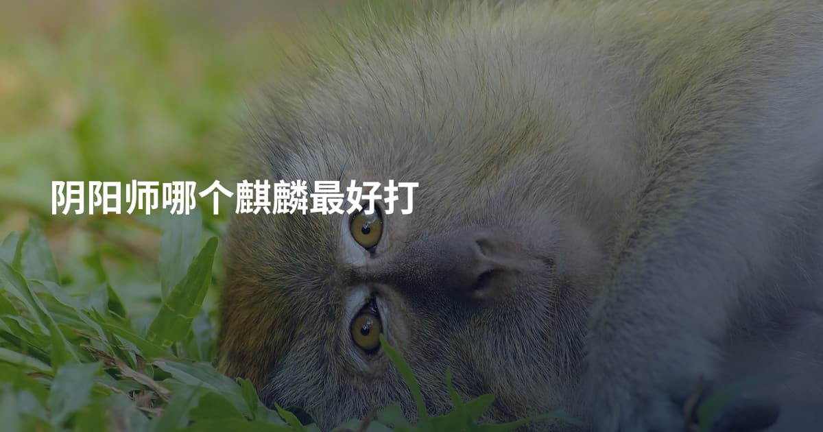 阴阳师哪个麒麟最好打