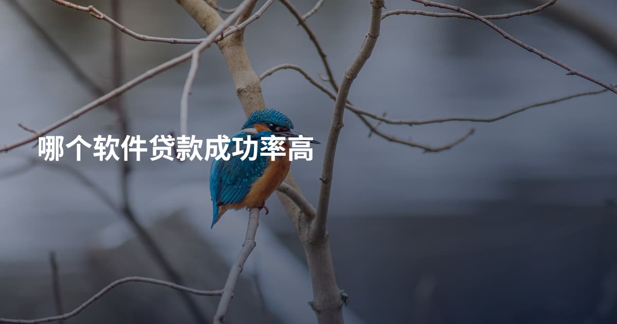 哪个软件贷款成功率高