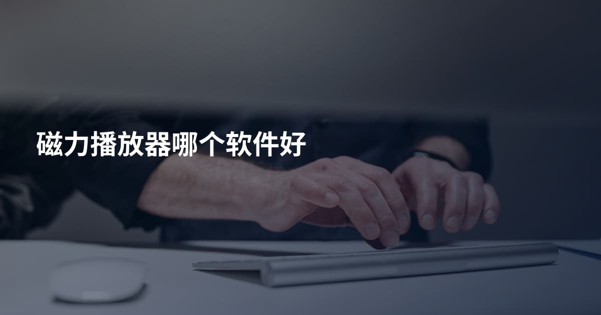 磁力播放器哪个软件好