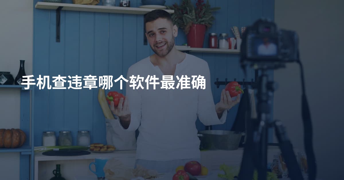 手机查违章哪个软件最准确