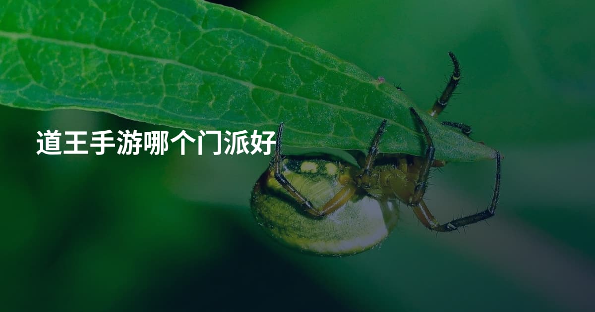 道王手游哪个门派好
