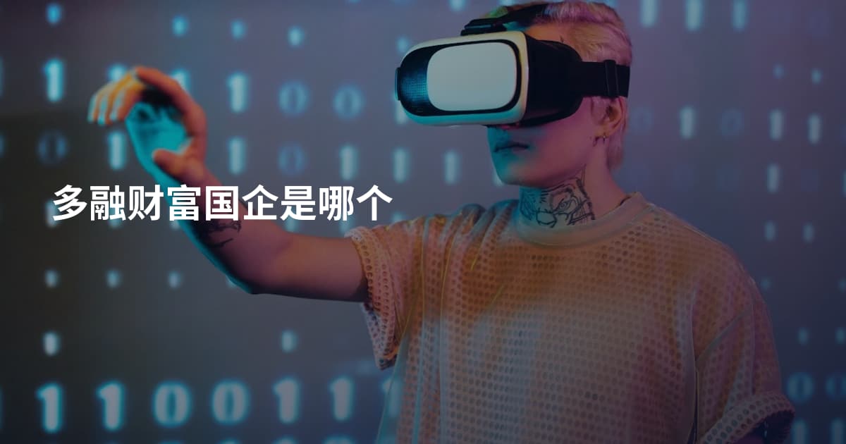 多融财富国企是哪个