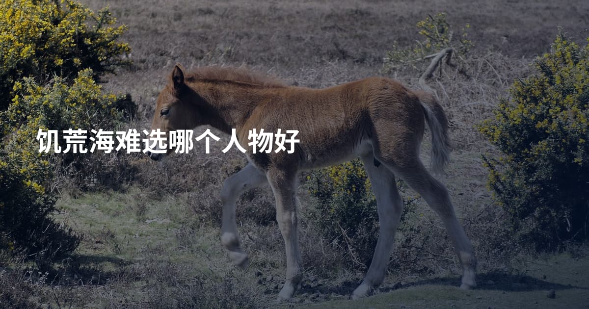 饥荒海难选哪个人物好