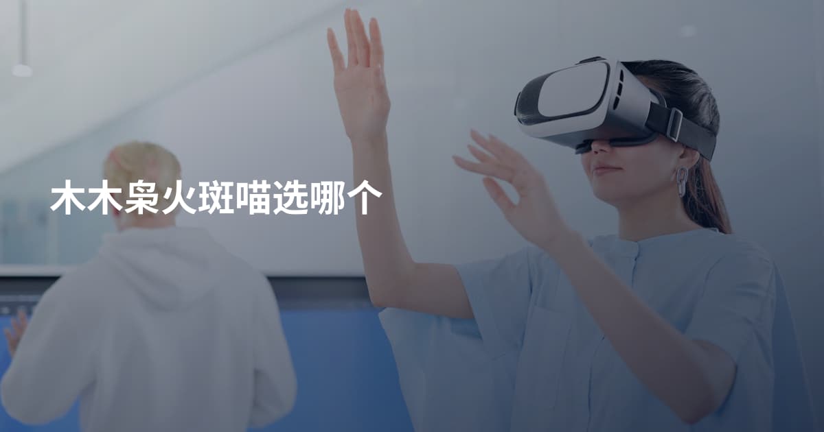 木木枭火斑喵选哪个