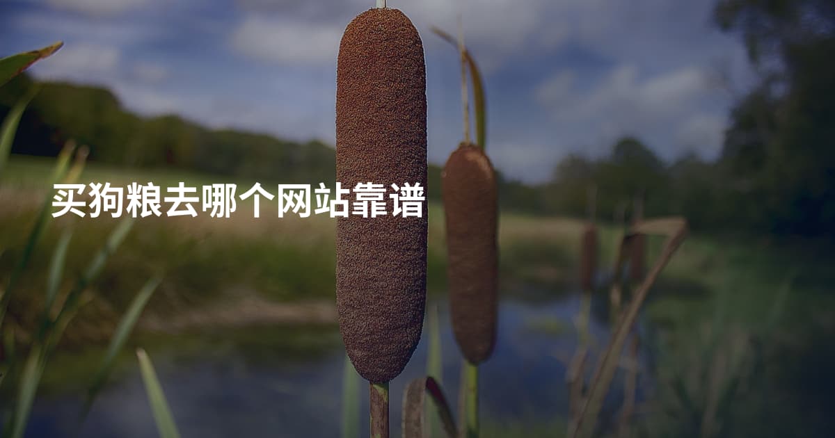 买狗粮去哪个网站靠谱