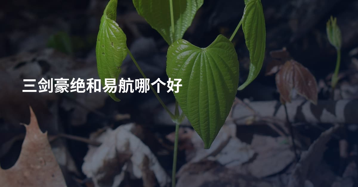 三剑豪绝和易航哪个好