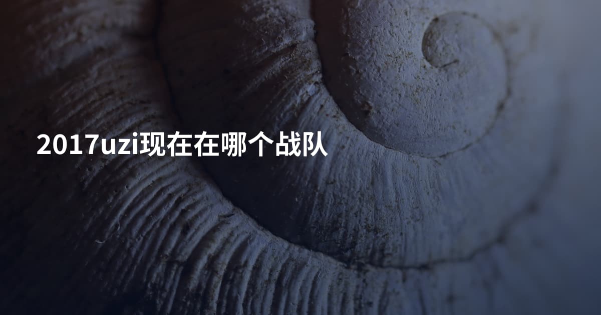 2017uzi现在在哪个战队