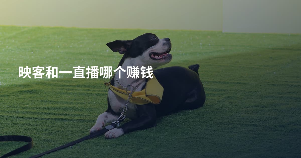 映客和一直播哪个赚钱