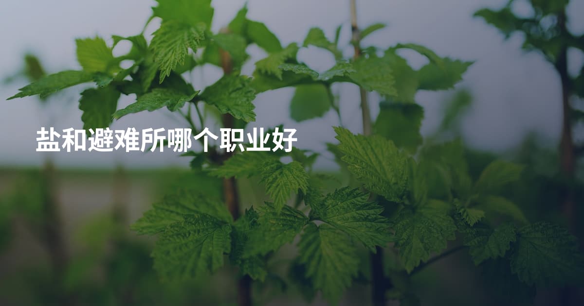 盐和避难所哪个职业好