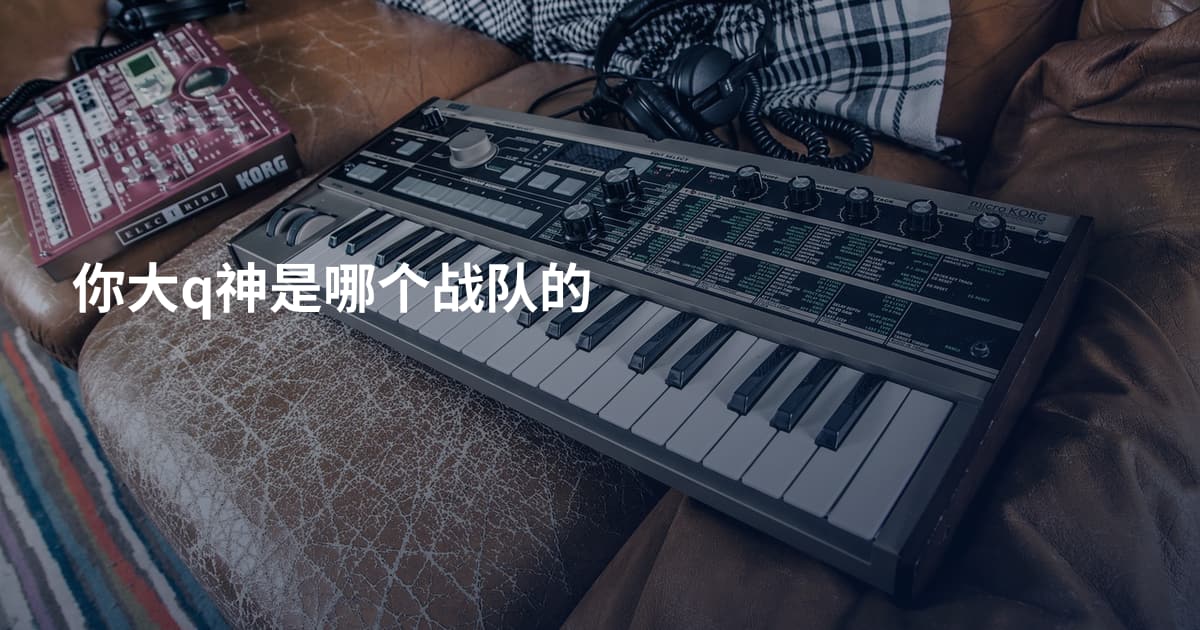 你大q神是哪个战队的