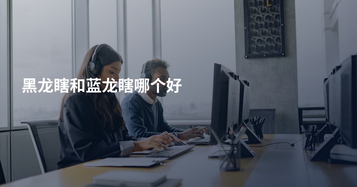 黑龙瞎和蓝龙瞎哪个好