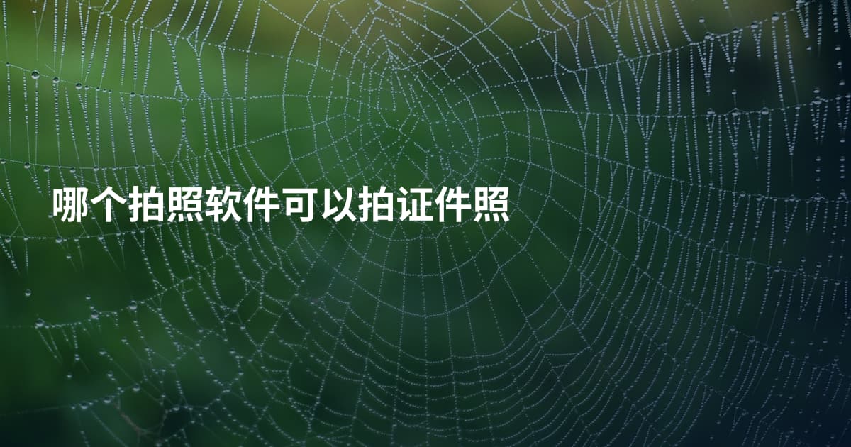 哪个拍照软件可以拍证件照