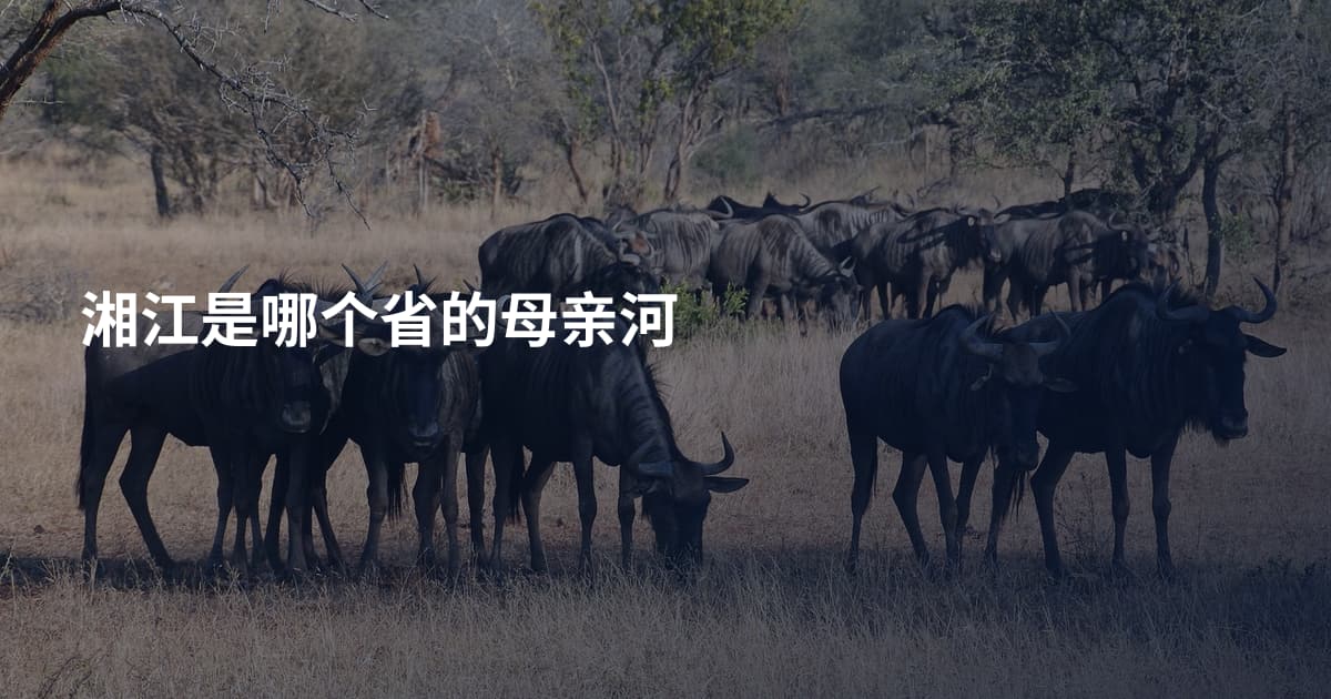 湘江是哪个省的母亲河
