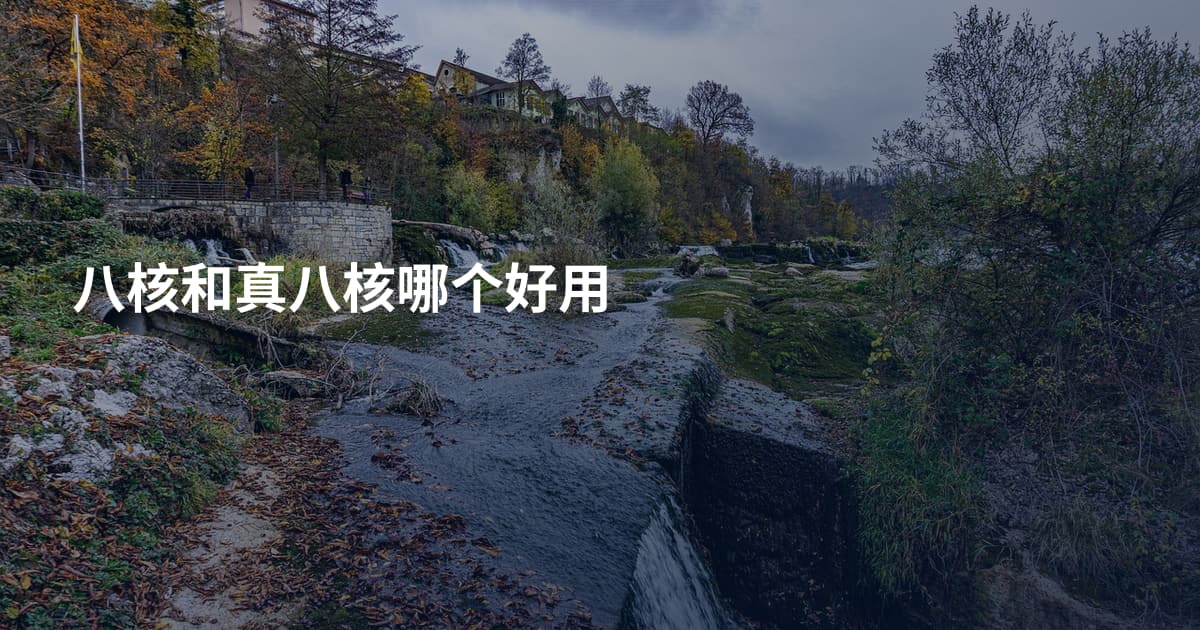 八核和真八核哪个好用