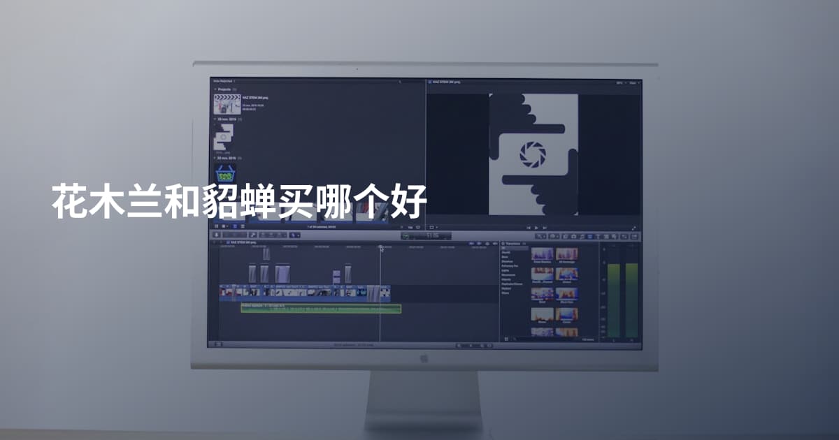 花木兰和貂蝉买哪个好