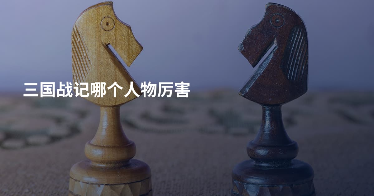 三国战记哪个人物厉害