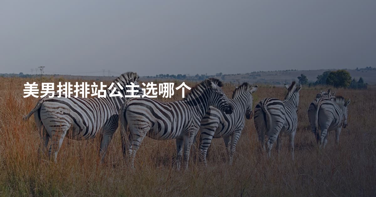 美男排排站公主选哪个