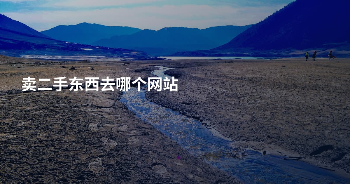 卖二手东西去哪个网站