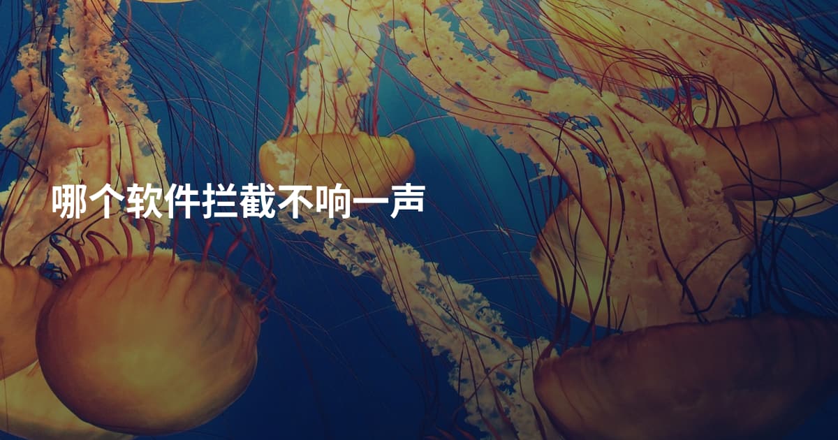 哪个软件拦截不响一声
