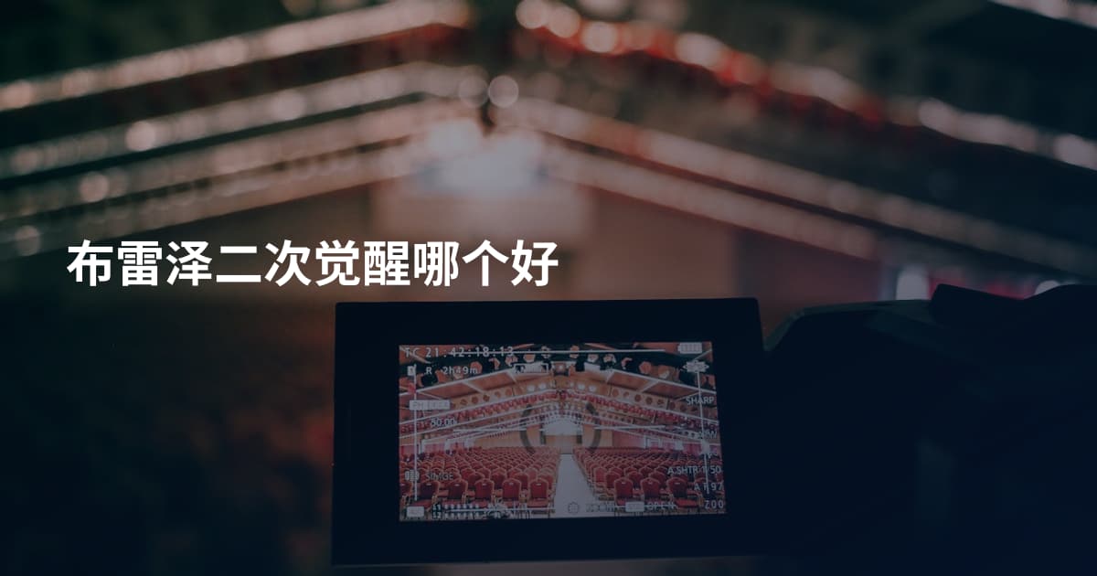 布雷泽二次觉醒哪个好