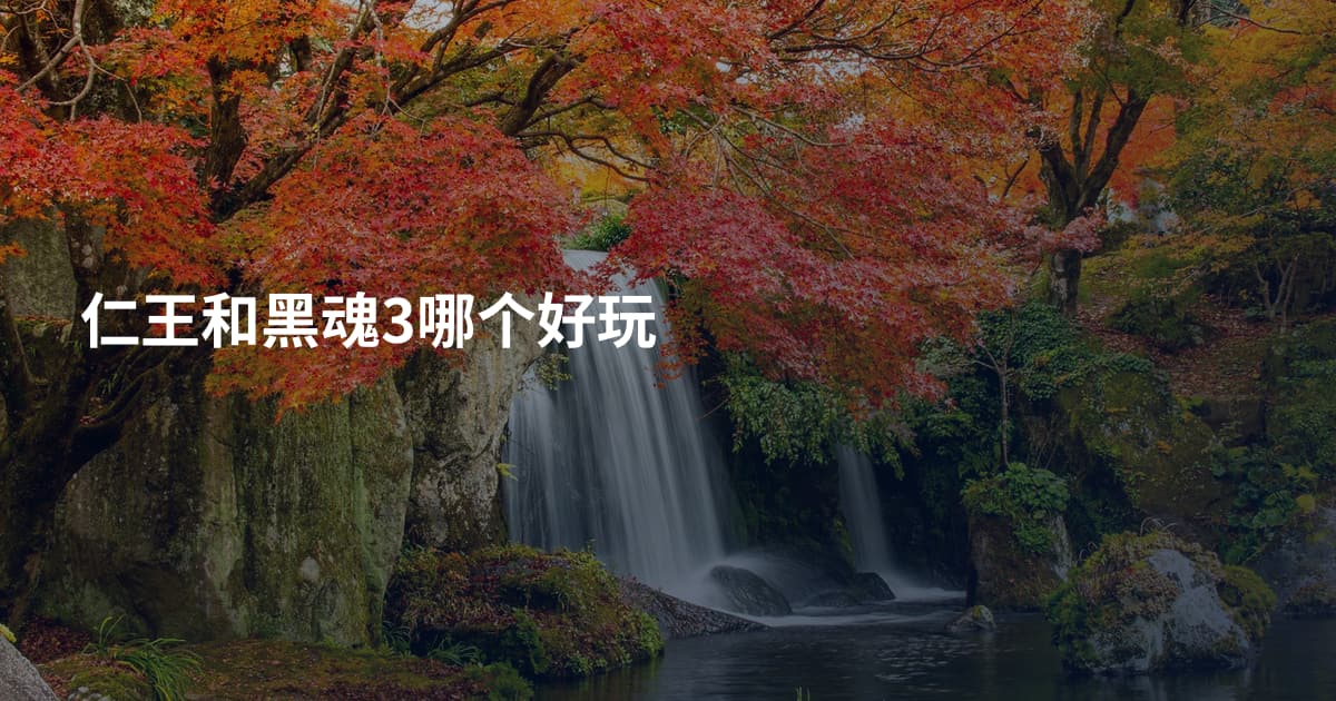 仁王和黑魂3哪个好玩