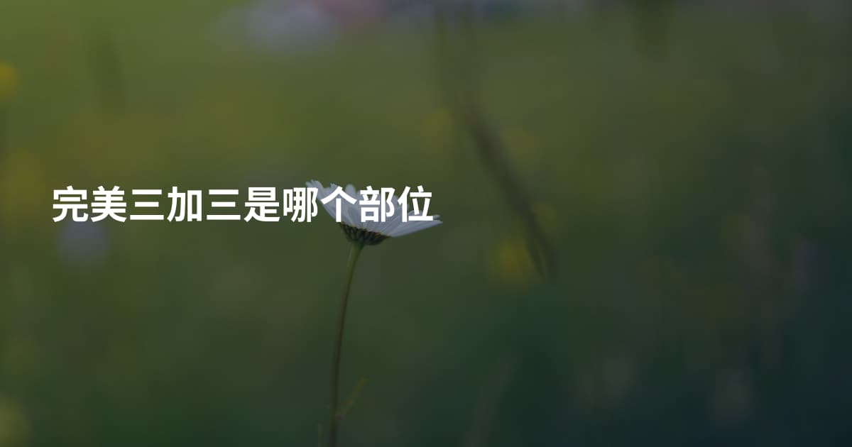 完美三加三是哪个部位