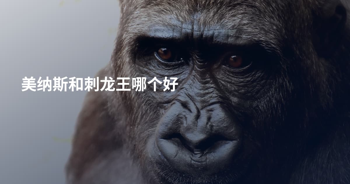 美纳斯和刺龙王哪个好