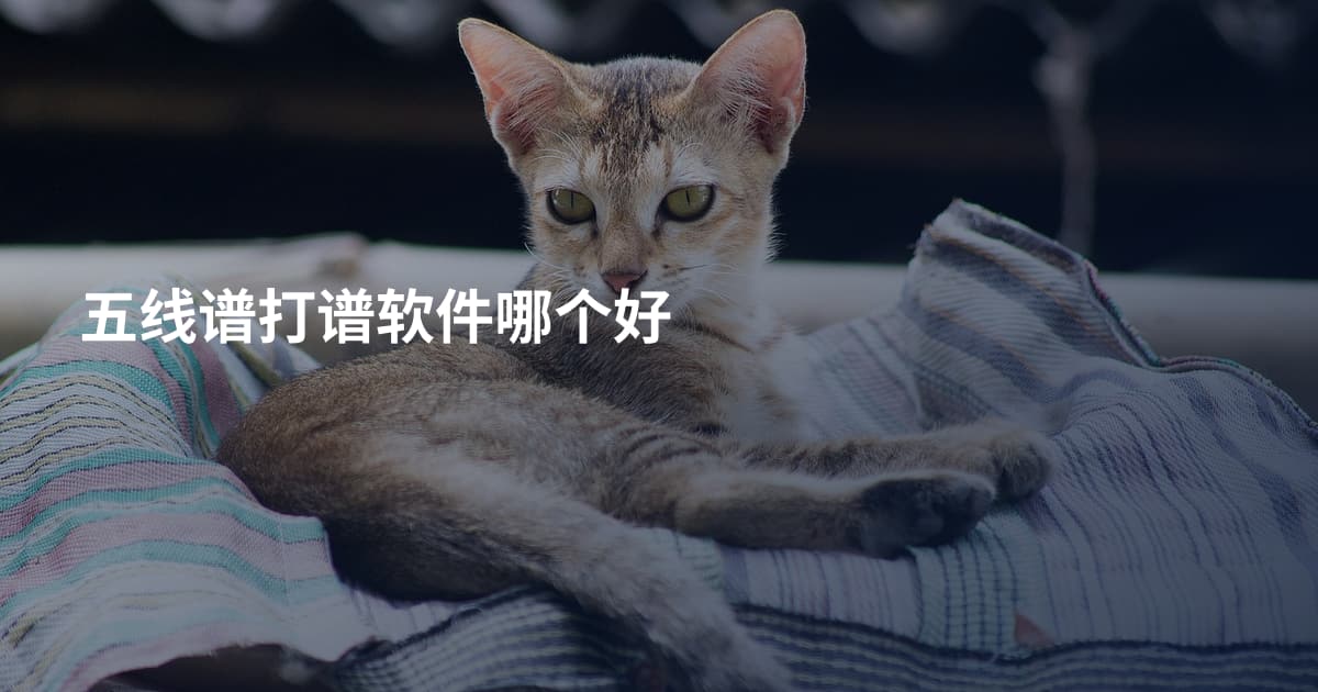 五线谱打谱软件哪个好