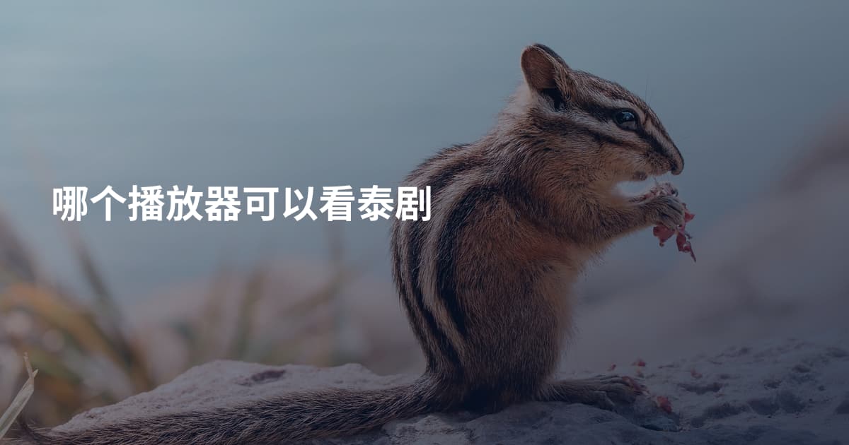 哪个播放器可以看泰剧