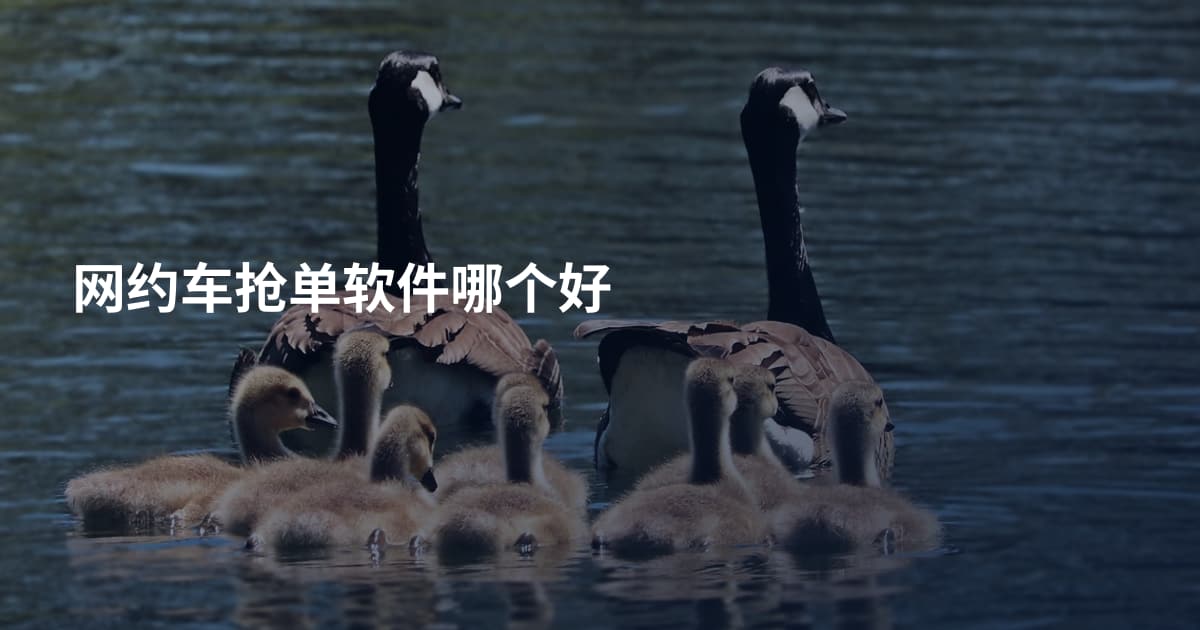 网约车抢单软件哪个好