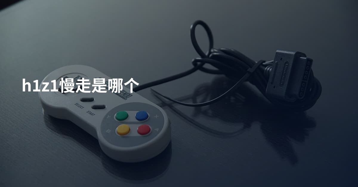 h1z1慢走是哪个